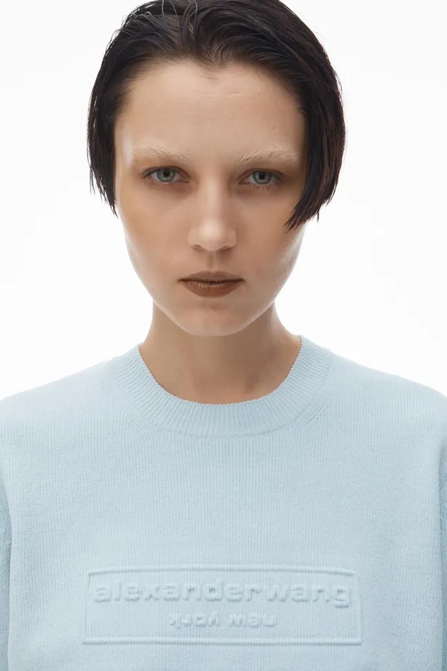Alexander Wang Sweaters Sweater Tee In Ribbed Chenille 8211 Women