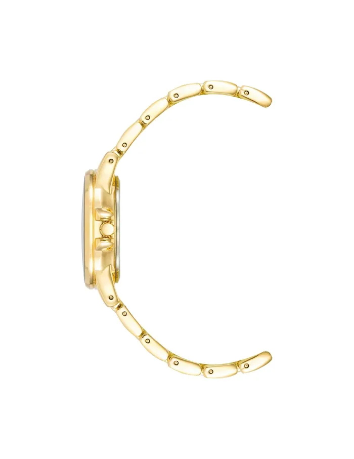 Anne Klein Gemstone Dial Bracelet Watch Tiger039s Eye Women Watches 038 Jewelry