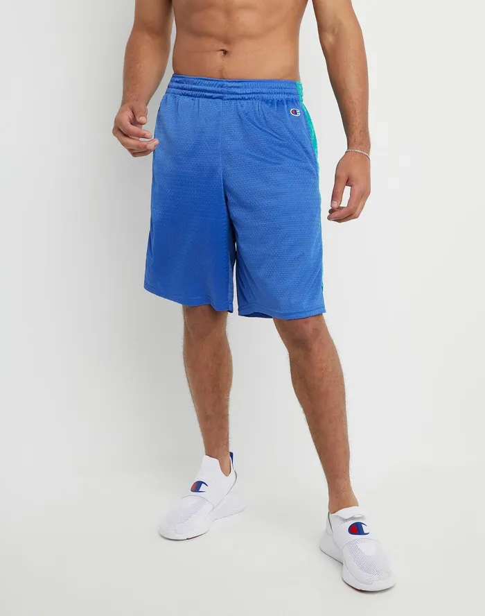 Basketball Shorts Mesh Script Logo 10034 Bright Royal green Reef Men Champion Shorts