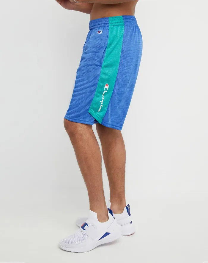 Basketball Shorts Mesh Script Logo 10034 Bright Royal green Reef Men Champion Shorts