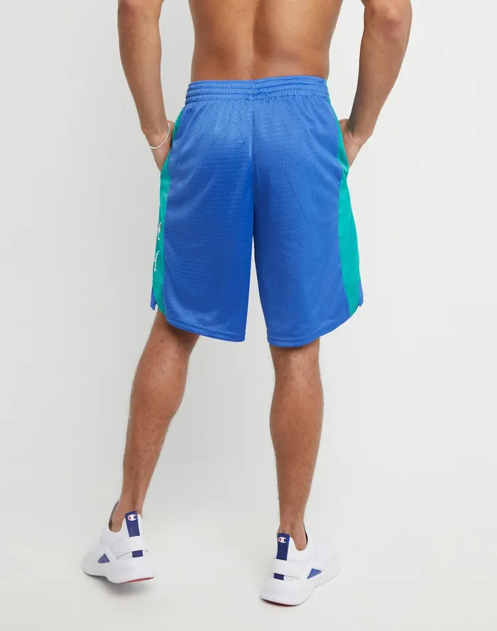 Basketball Shorts Mesh Script Logo 10034 Bright Royal green Reef Men Champion Shorts