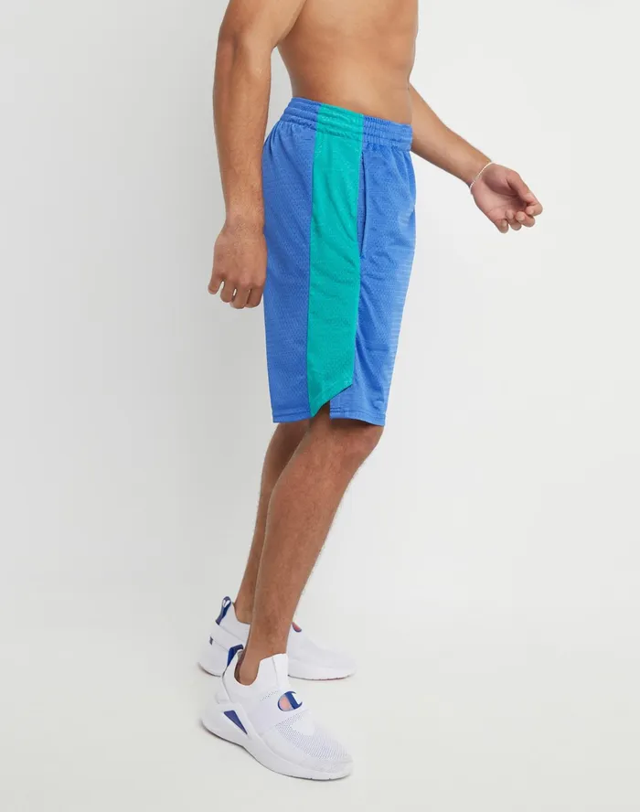 Basketball Shorts Mesh Script Logo 10034 Bright Royal green Reef Men Champion Shorts