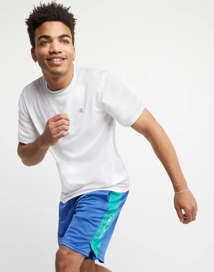 Basketball Shorts Mesh Script Logo 10034 Bright Royal green Reef Men Champion Shorts