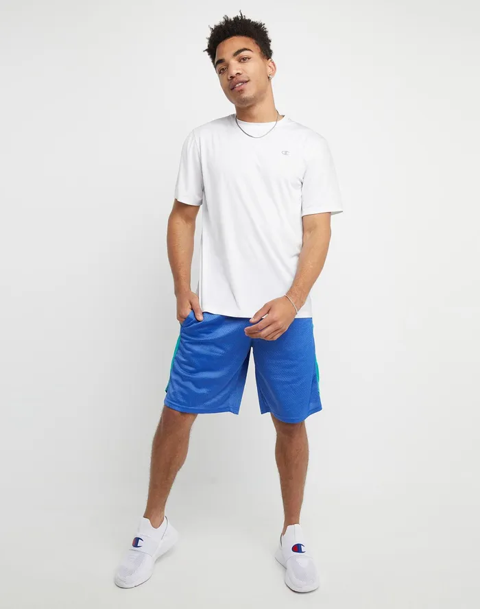 Basketball Shorts Mesh Script Logo 10034 Bright Royal green Reef Men Champion Shorts