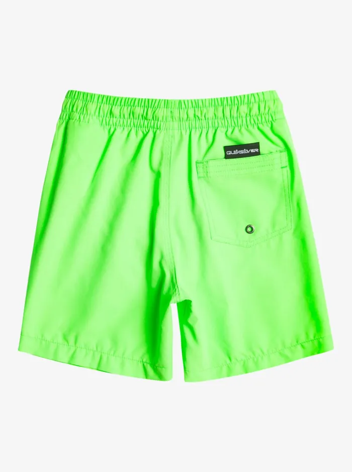Boys Quiksilver Boardshorts Boy039s 27 Everyday 13034 Volleys Green Gecko Boys Quiksilver Boardshorts Boy039s 27 Everyday 13034 Volleys Green Gecko