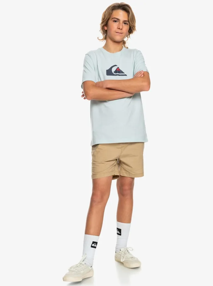 Boys Quiksilver Shorts Boy039s 816 Taxer 15034 Elastic Waist Shorts Plage Boys Quiksilver Shorts Boy039s 816 Taxer 15034 Elastic Waist Shorts Plage