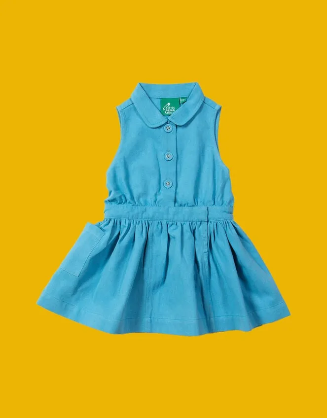 Children Little Green Radicals Pinafore Dress Blue Monsoon Dresses
