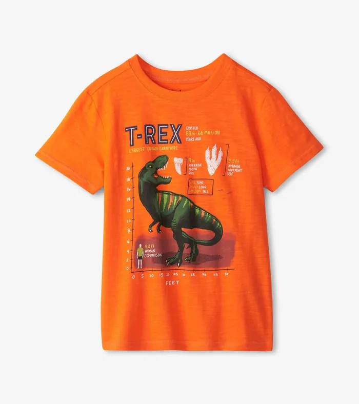 Hatley Boys TRex Graphic Tee Boys Tops