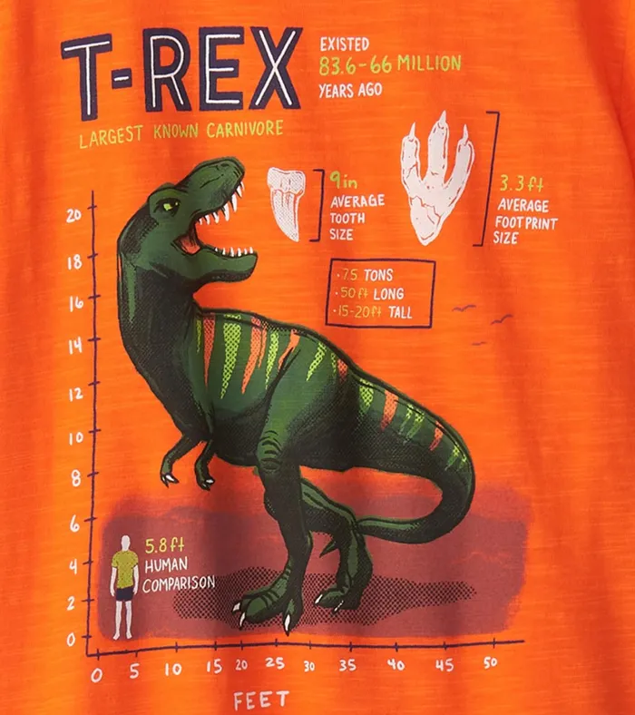 Hatley Boys TRex Graphic Tee Boys Tops