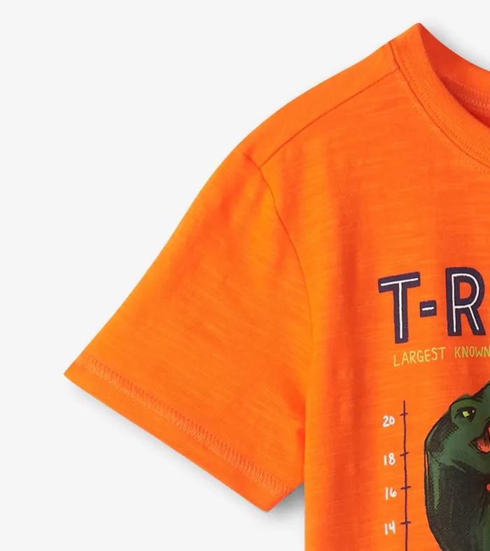 Hatley Boys TRex Graphic Tee Boys Tops
