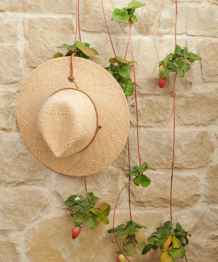 Hats and Beanies Women Jenni Kayne Safari Hat Natural