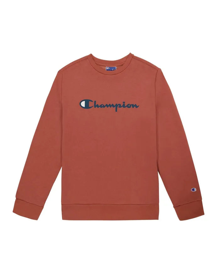 Little Kids039 Powerblend Crew Sweatshirt Classic Script Sandalwood Red Kids Champion Hoodies and Sweatshirts Little Kids039 Powerblend Crew Sweatshirt Classic Script Sandalwood Red Kids Champion Hoodies and Sweatshirts