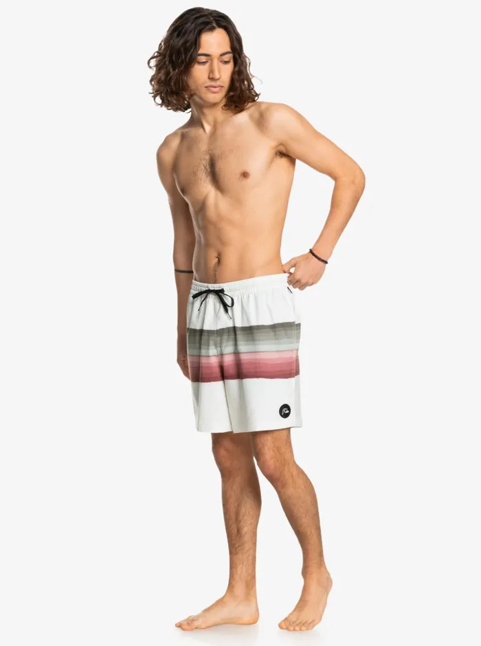 Men Quiksilver Boardshorts Resin Tint Pcs 17034 Volleys Birch Men Quiksilver Boardshorts Resin Tint Pcs 17034 Volleys Birch