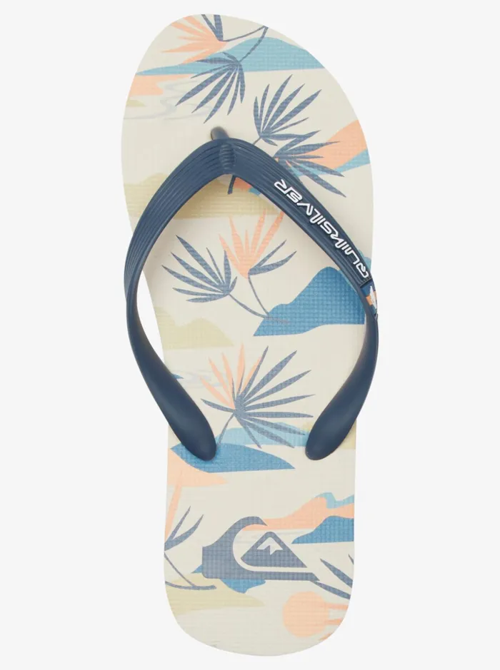 Men Quiksilver Sandals Molokai Art FlipFlops Blackwhiteblue