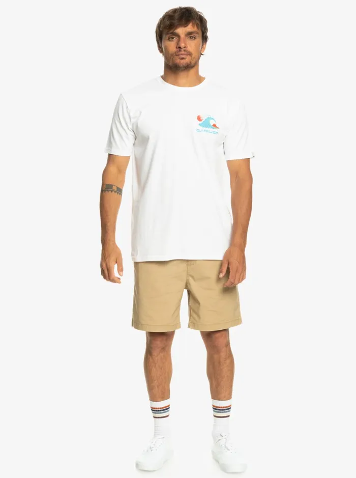 Men Quiksilver Shorts and Amphibians Taxer Elastic Waist Shorts Plage Men Quiksilver Shorts and Amphibians Taxer Elastic Waist Shorts Plage
