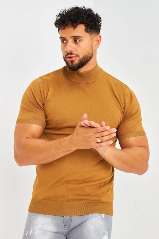 Men TShirt Camel En Fines Mailles Col Montant Camel Brentiny Paris TShirts