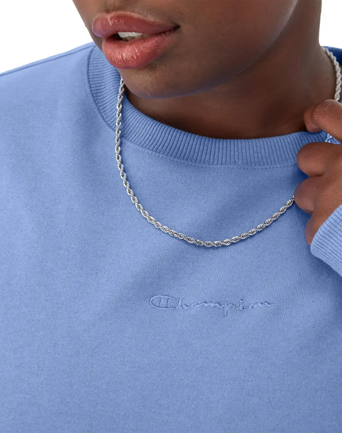 Powerblend Crewneck Sweatshirt Embroidered Script Logo Plus Size Plaster Blue Women Champion Hoodies and Sweatshirts
