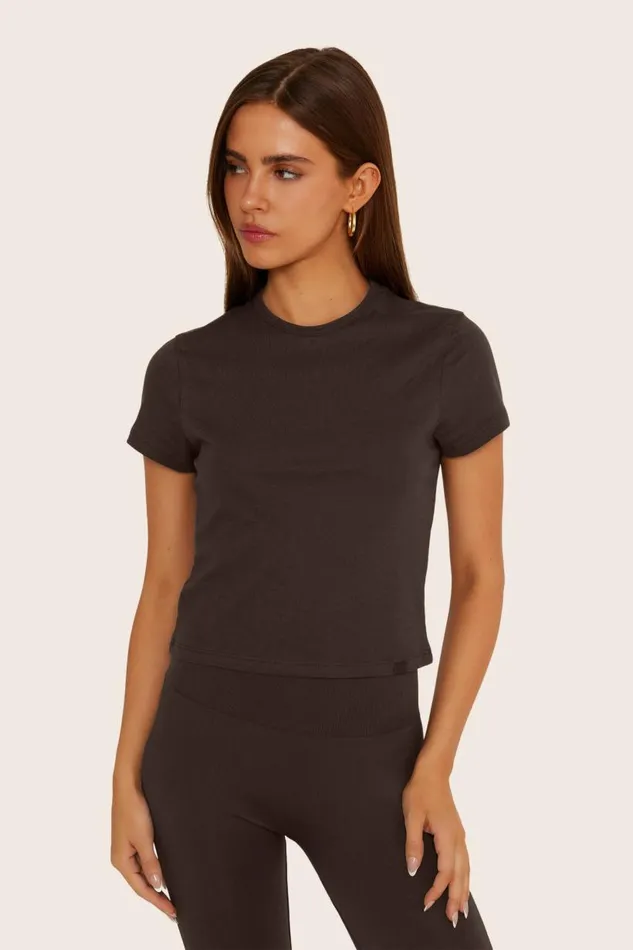 SET ACTIVE Tops Tanks Tees CLASSIC COTTON DAILY TEE 8211 ESPRESSO 8211 Women