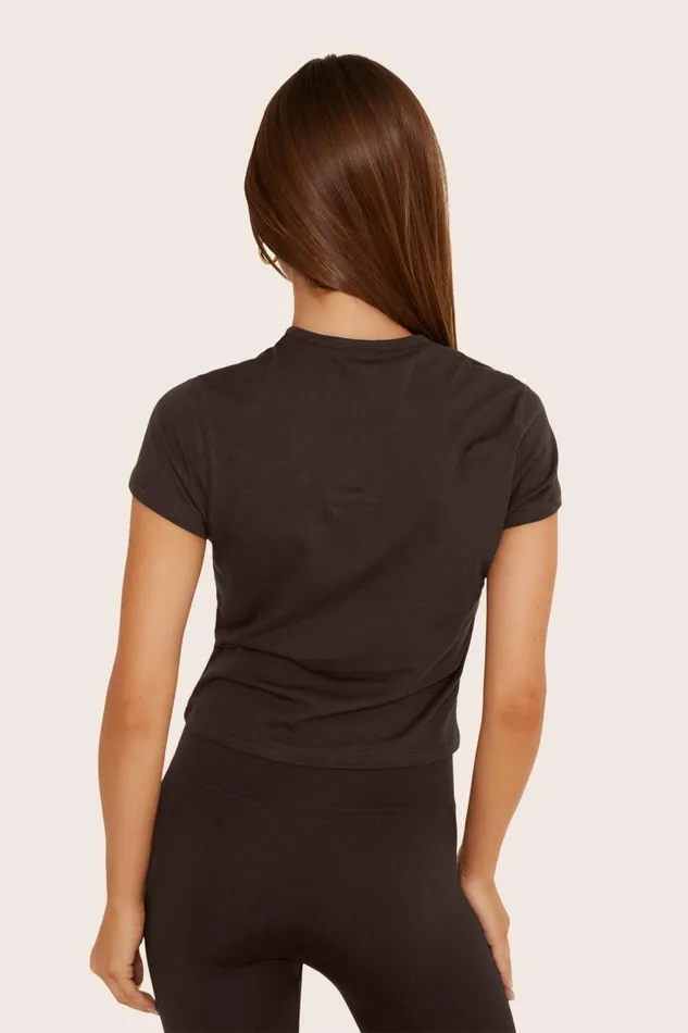 SET ACTIVE Tops Tanks Tees CLASSIC COTTON DAILY TEE 8211 ESPRESSO 8211 Women