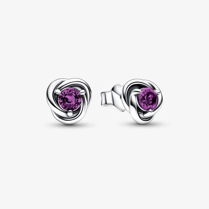 Stud Earrings Women Pandora February Birthstone Eternity Circle Stud Earrings Purple