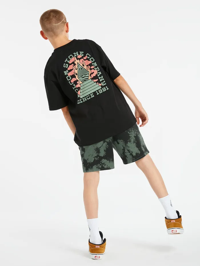 Volcom TShirts and Tanks Big Boys Altarium Short Sleeve Tee 8211 Black Black 8211 Boys