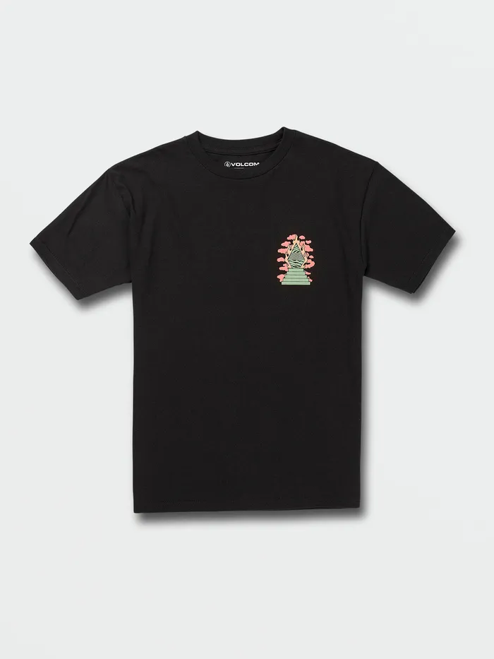 Volcom TShirts and Tanks Big Boys Altarium Short Sleeve Tee 8211 Black Black 8211 Boys