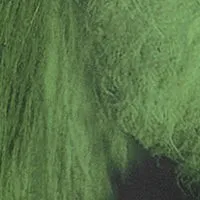 Women Dresses Victoria Beckham Dolman Midi Dress In Green Digital Feather Print