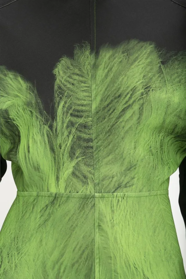 Women Dresses Victoria Beckham Dolman Midi Dress In Green Digital Feather Print