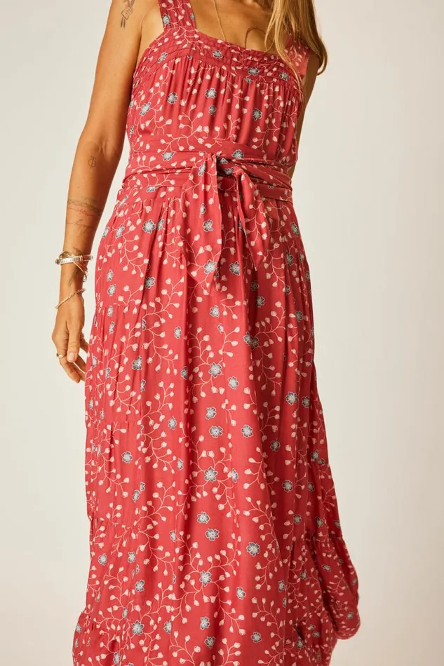 Women Natalie Martin Dresses Jasmine Maxi Pinwheel Barn Red